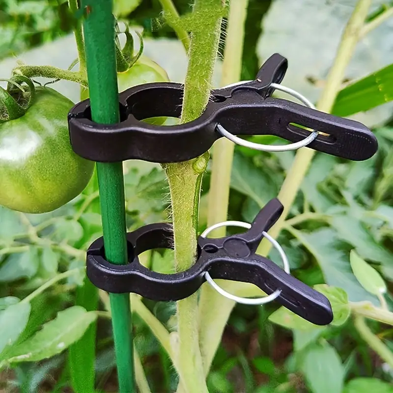 Bonsai Garden Ideas - 10/30/50Pcs Plant Stem Branch Gardening Clip