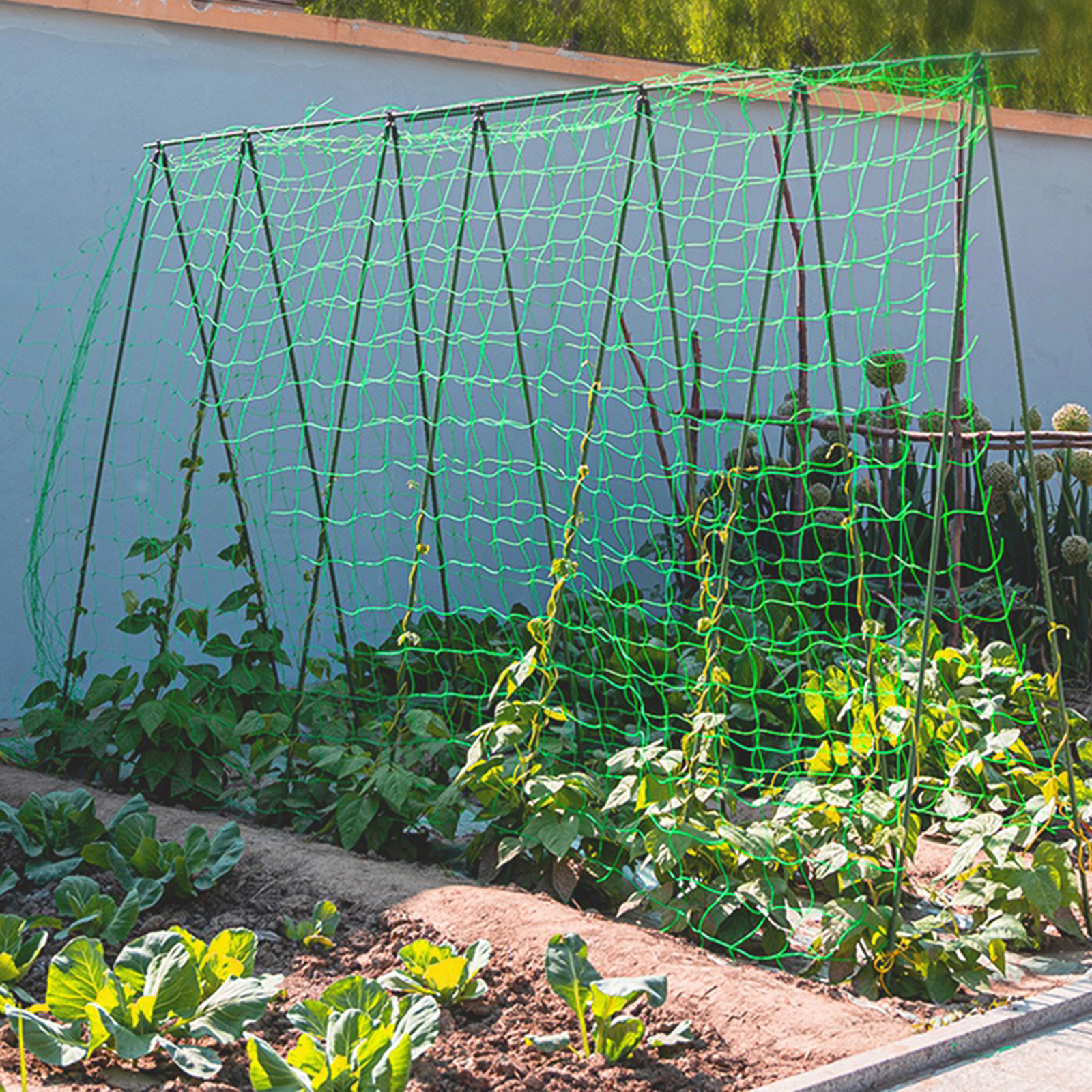 Bonsai Garden Ideas - Garden Netting Plant Vine Growing Holder