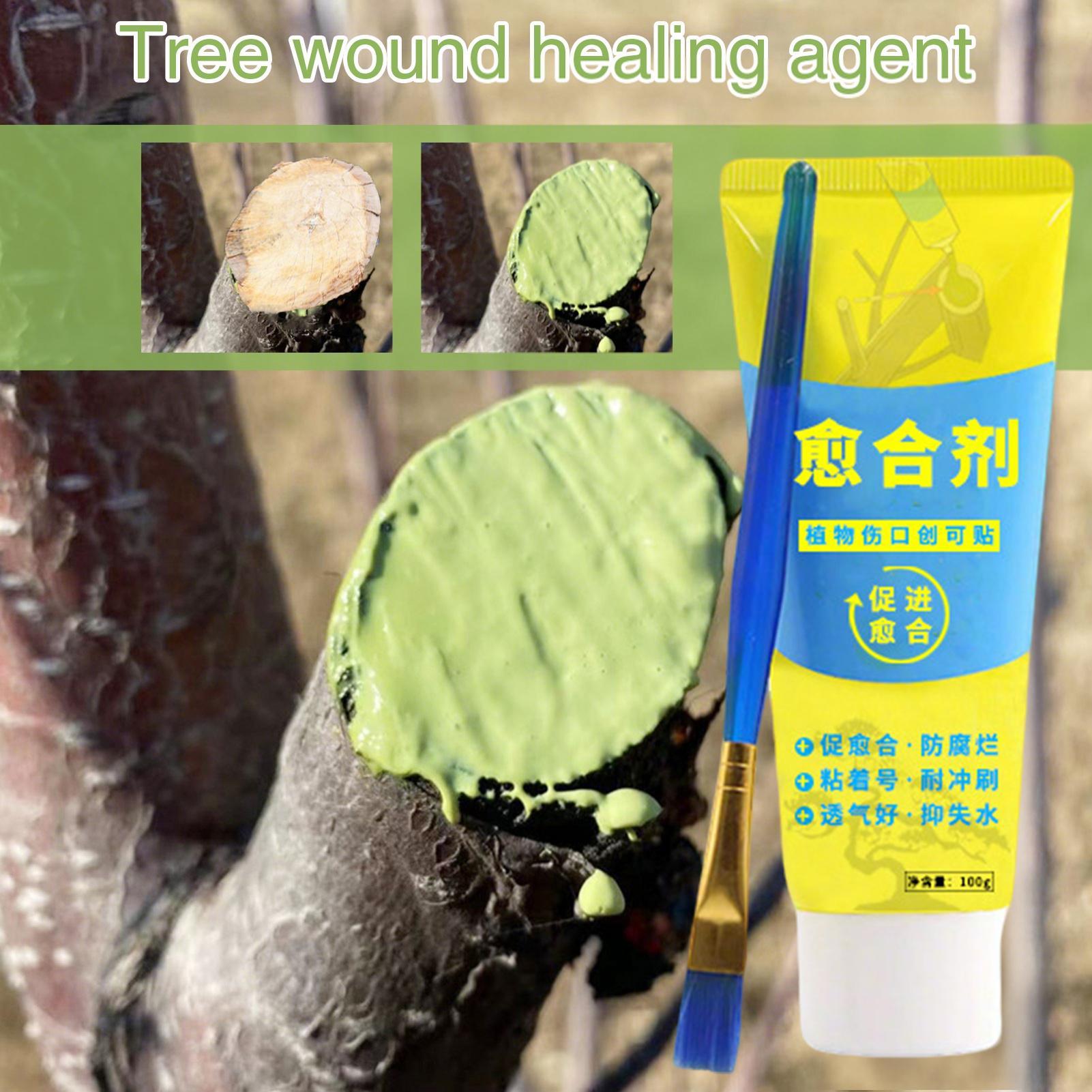 Bonsai Garden Tree - 100g Tree Wound Paste Smear Agent