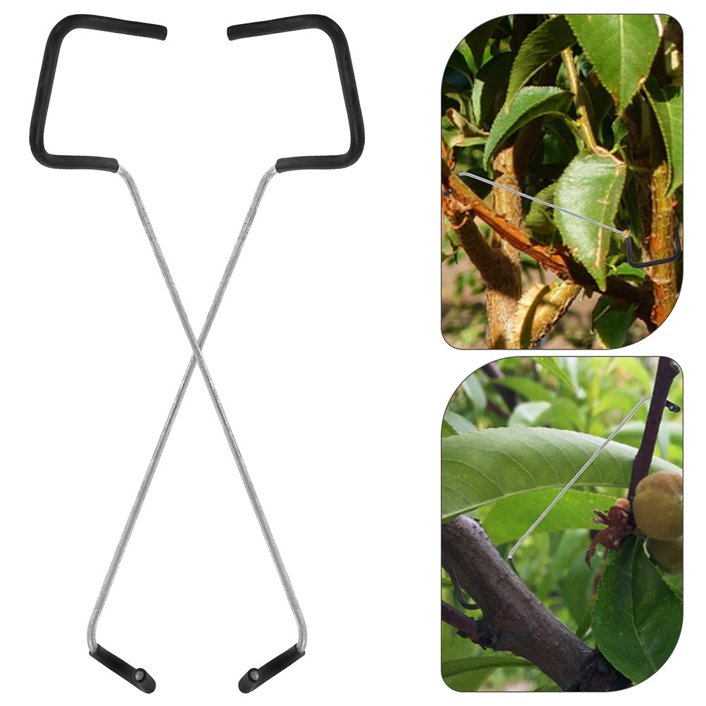 Bonsai Branch Trunk Trainer 10 - Bonsai Garden Tree avis et prix