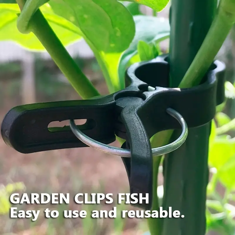 10/30/50Pcs Plant Stem Branch  - Bonsai Garden Ideas avis et prix