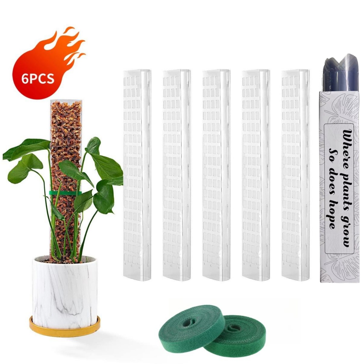 Moss Poles Plants Plant Suppor - Bonsai Garden Ideas avis et prix