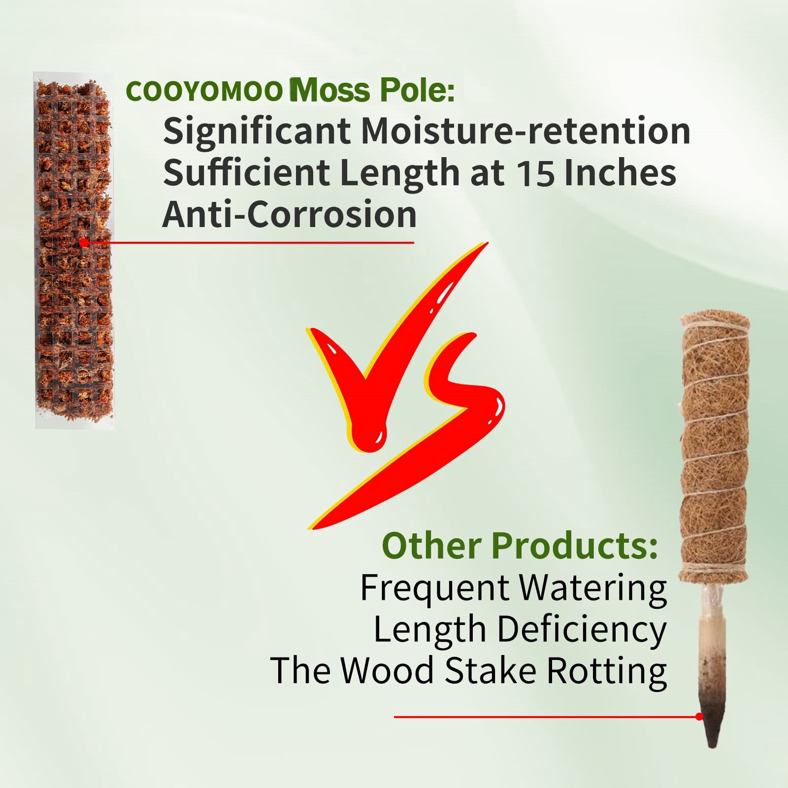 Moss Poles Plants Plant Suppor - Bonsai Garden Ideas avis et prix