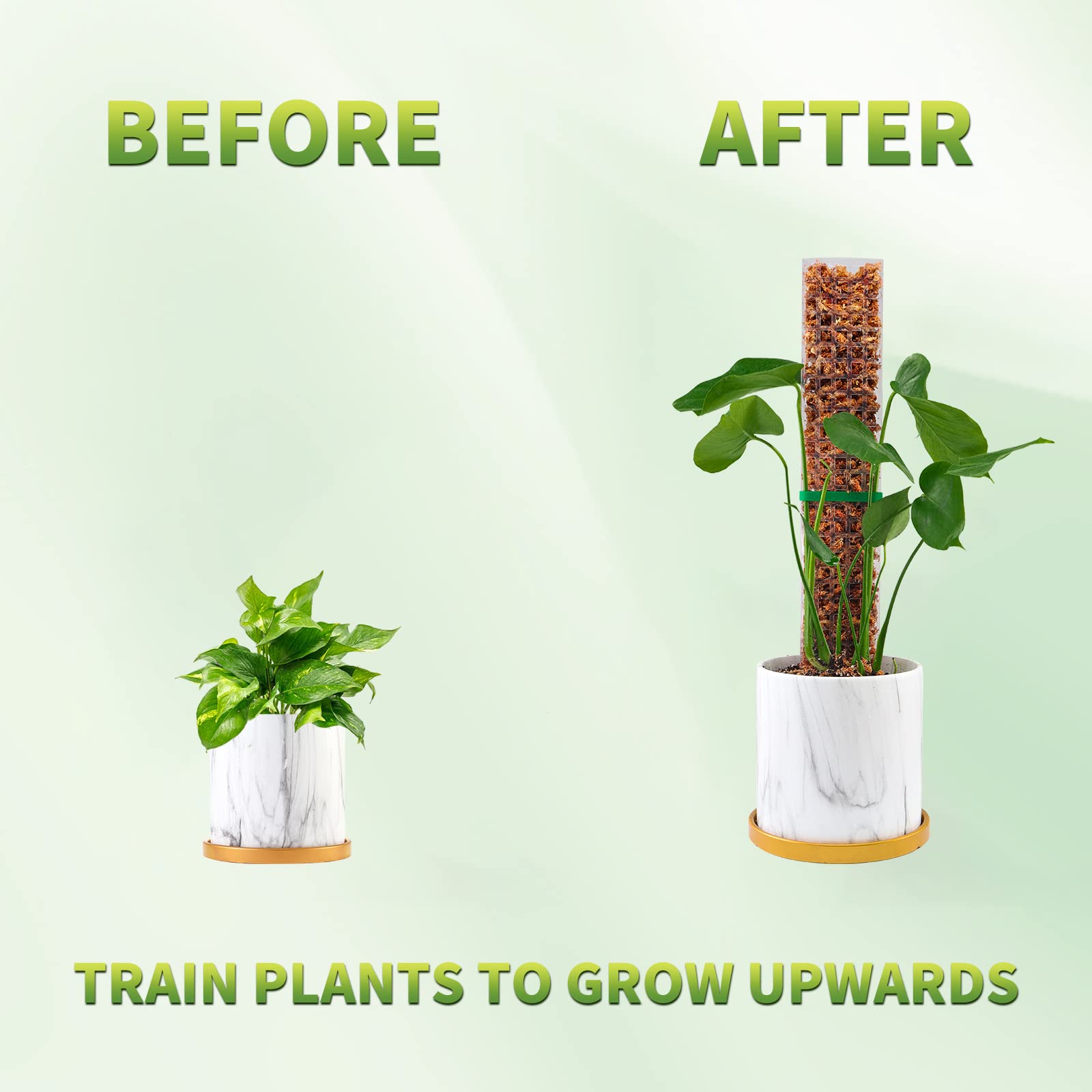 Moss Poles Plants Plant Suppor - Bonsai Garden Ideas avis et prix
