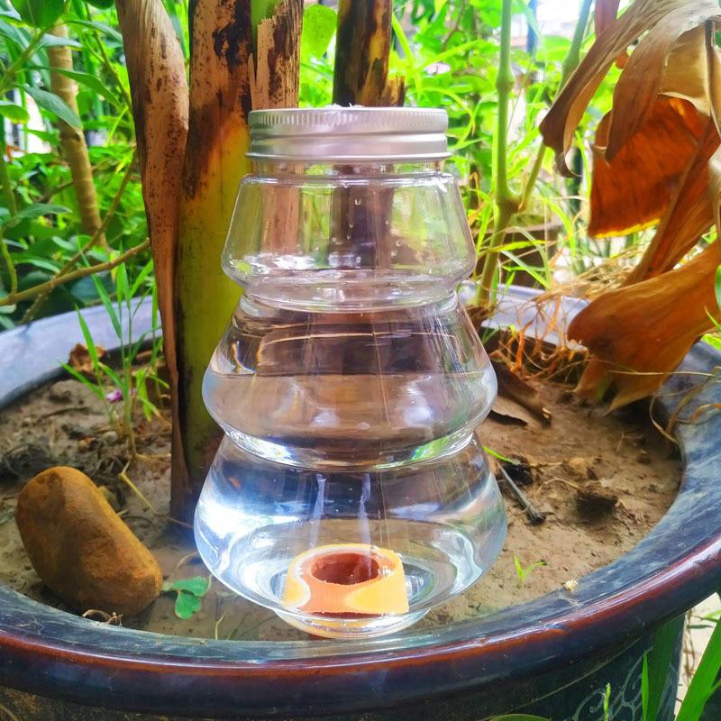 1pc Garden Automatic Watering  - Bonsai Garden Tree avis et prix