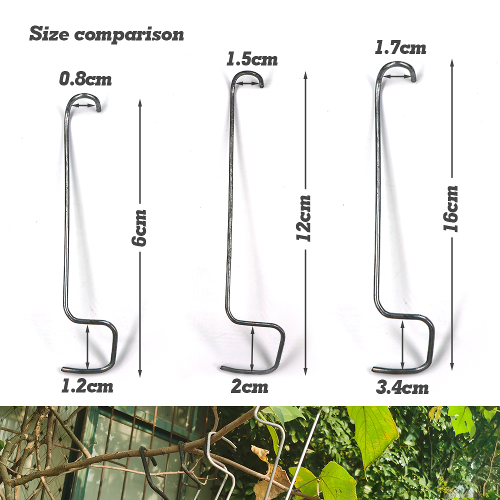 10Pcs Stainless Steel Reuseabl - Bonsai Garden Ideas avis et prix
