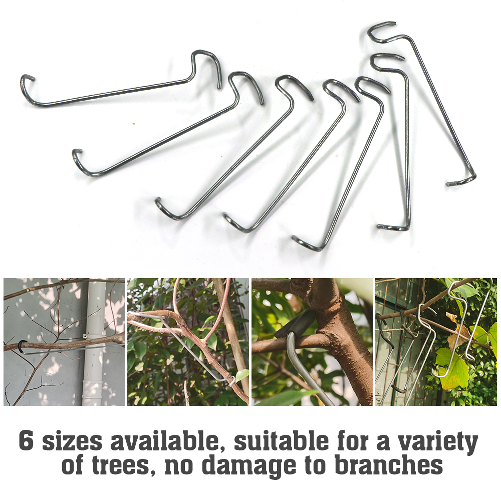 10Pcs Stainless Steel Reuseabl - Bonsai Garden Ideas avis et prix