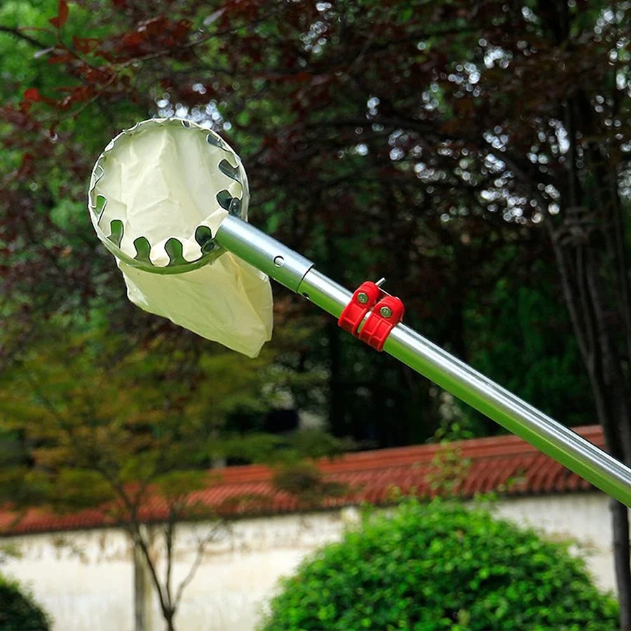 Adjustable Tree Collector Mult - Bonsai Garden Tree avis et prix