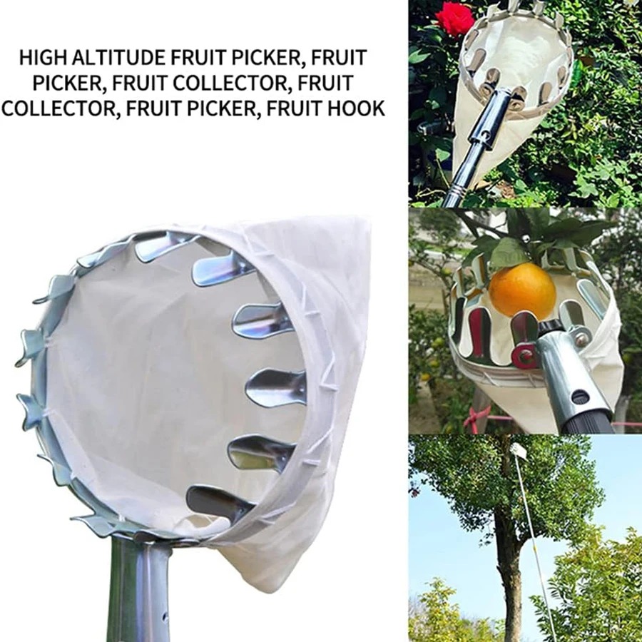 Adjustable Tree Collector Mult - Bonsai Garden Tree avis et prix
