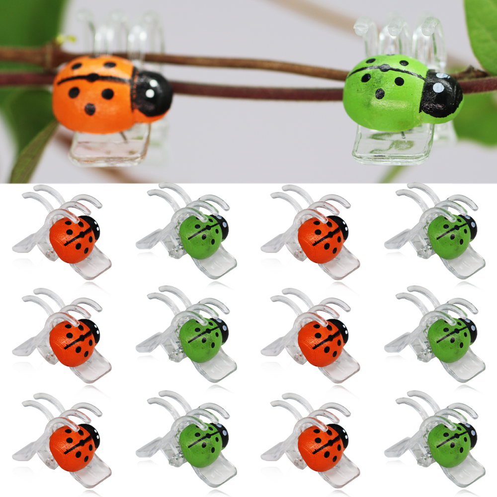 10-800PCS Ladybird Orchid Clip - Bonsai Garden Ideas avis et prix