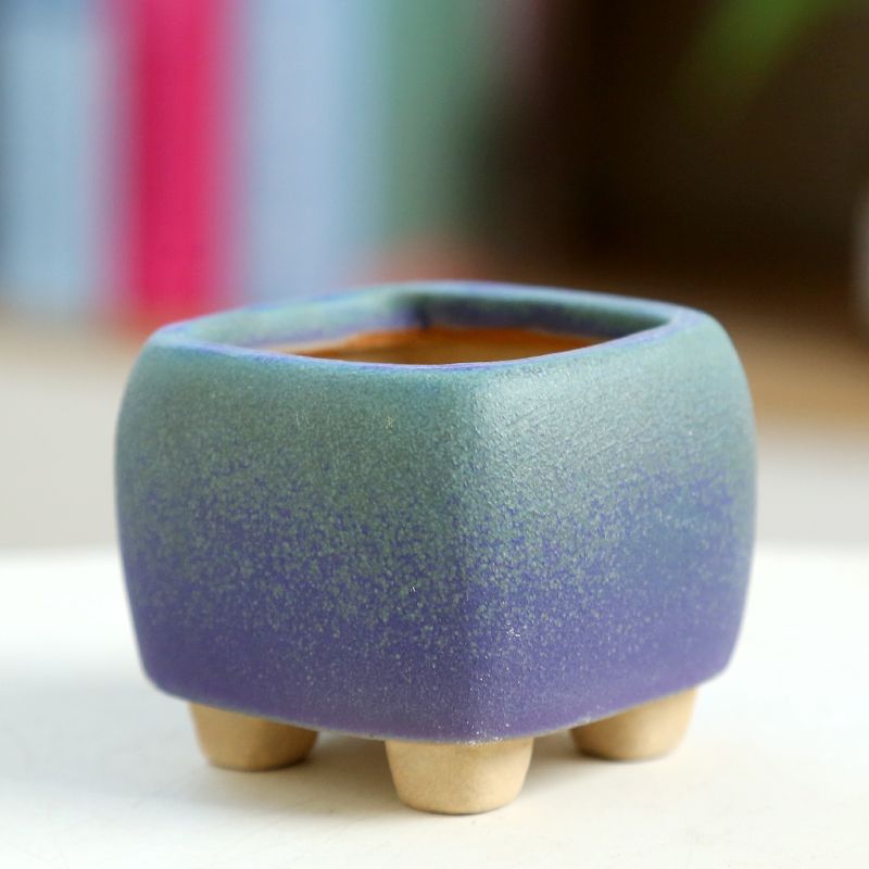 Mini Fleshy Flowerpot Ceramic， - Training Pot Ceramic avis et prix