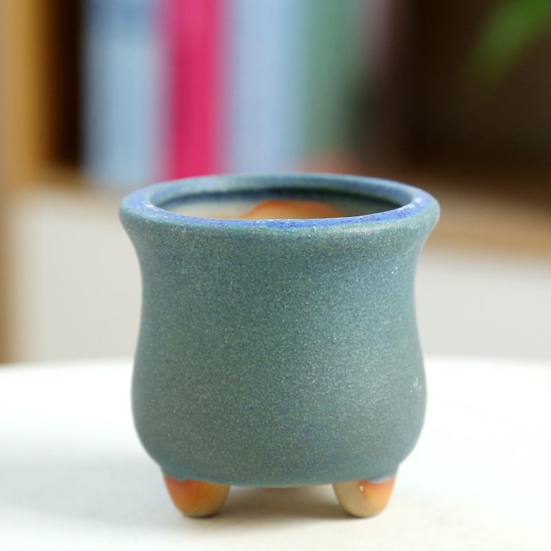 Mini Fleshy Flowerpot Ceramic， - Training Pot Ceramic avis et prix