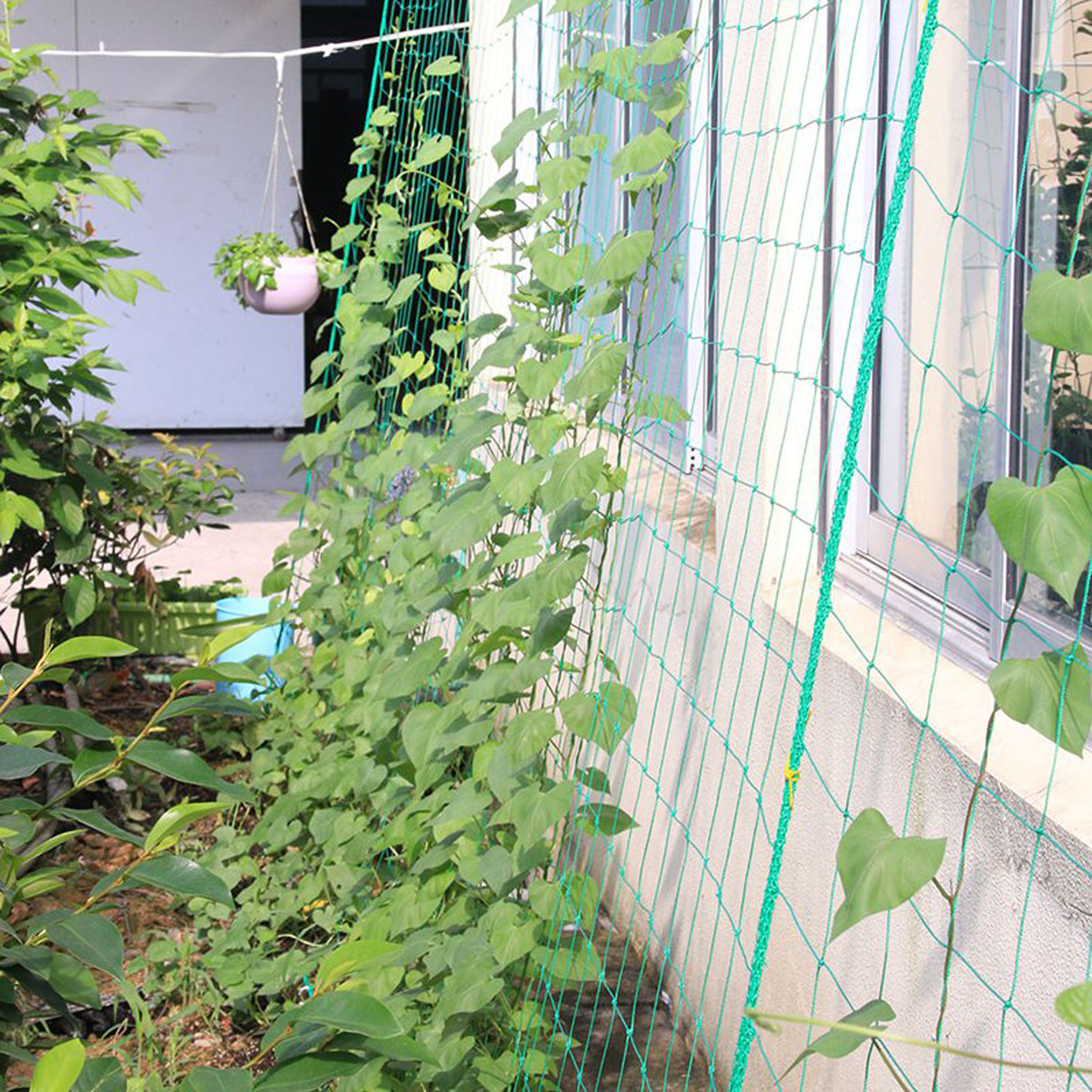 Garden Netting Plant Vine Grow - Bonsai Garden Ideas avis et prix