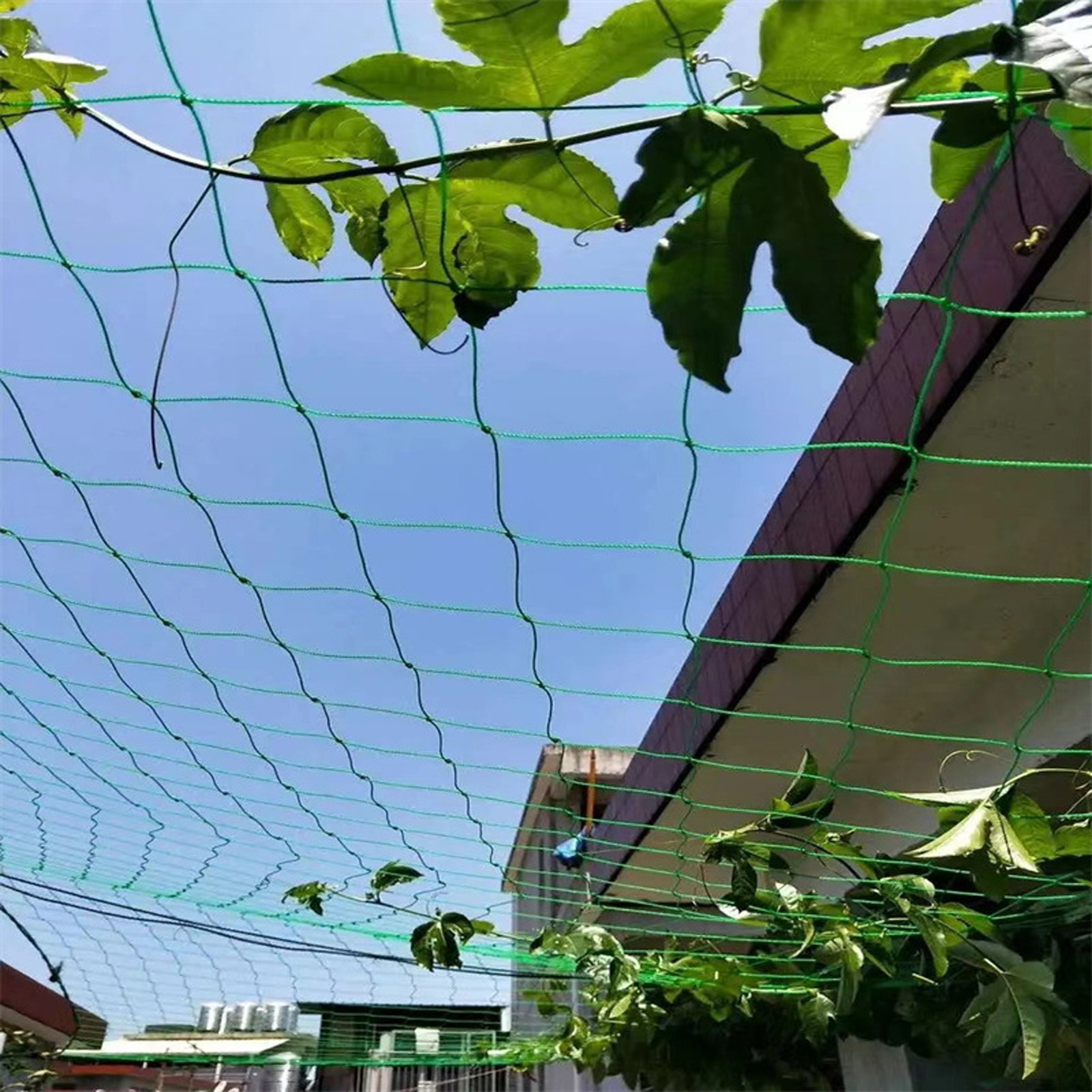 Garden Netting Plant Vine Grow - Bonsai Garden Ideas avis et prix