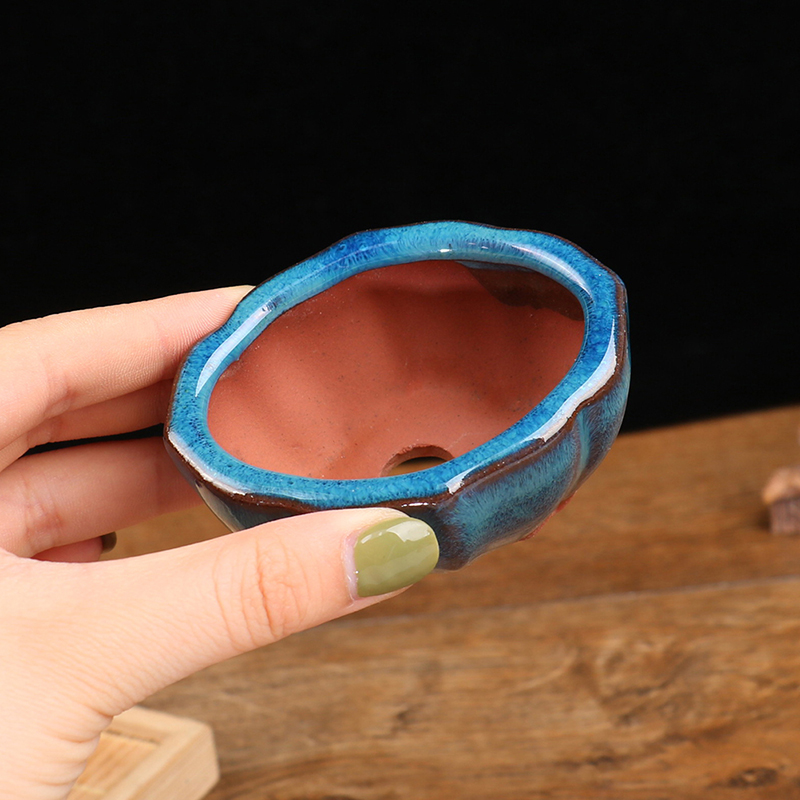 Chinese Style Bonsai Flowerpot - Training Pot Ceramic avis et prix