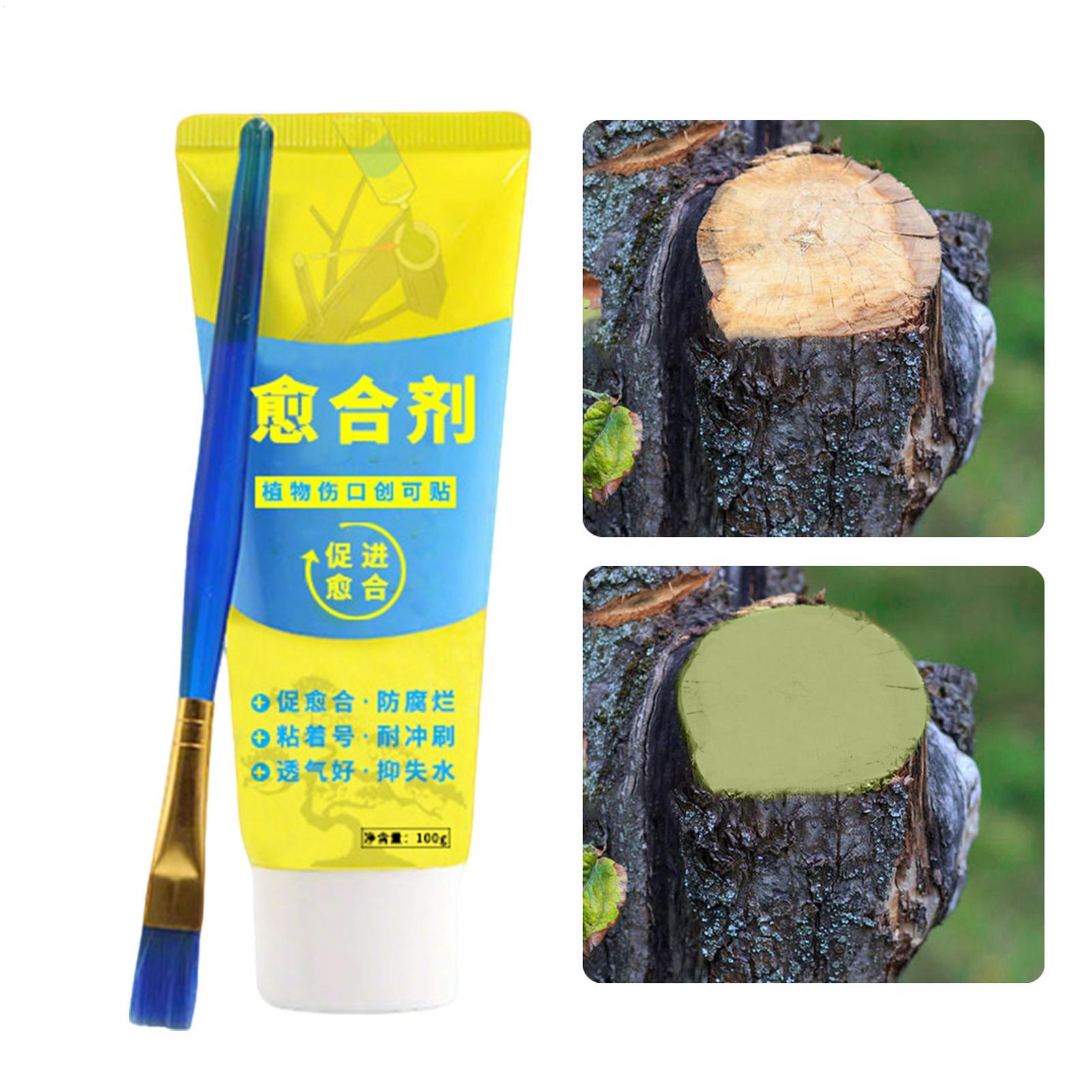100g Tree Wound Paste Smear Ag - Bonsai Garden Tree avis et prix