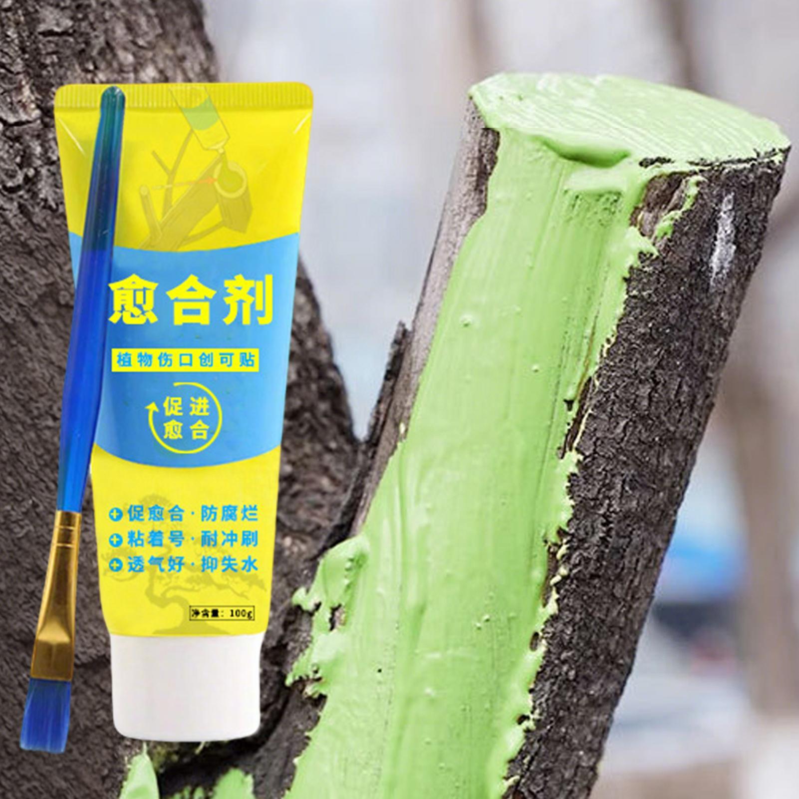 100g Tree Wound Paste Smear Ag - Bonsai Garden Tree avis et prix