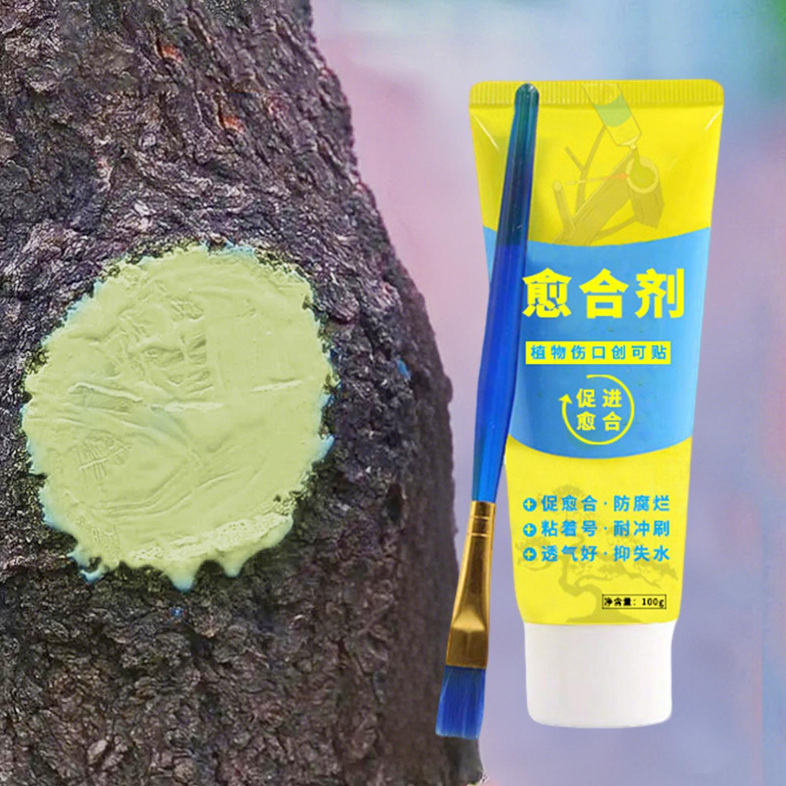 100g Tree Wound Paste Smear Ag - Bonsai Garden Tree avis et prix