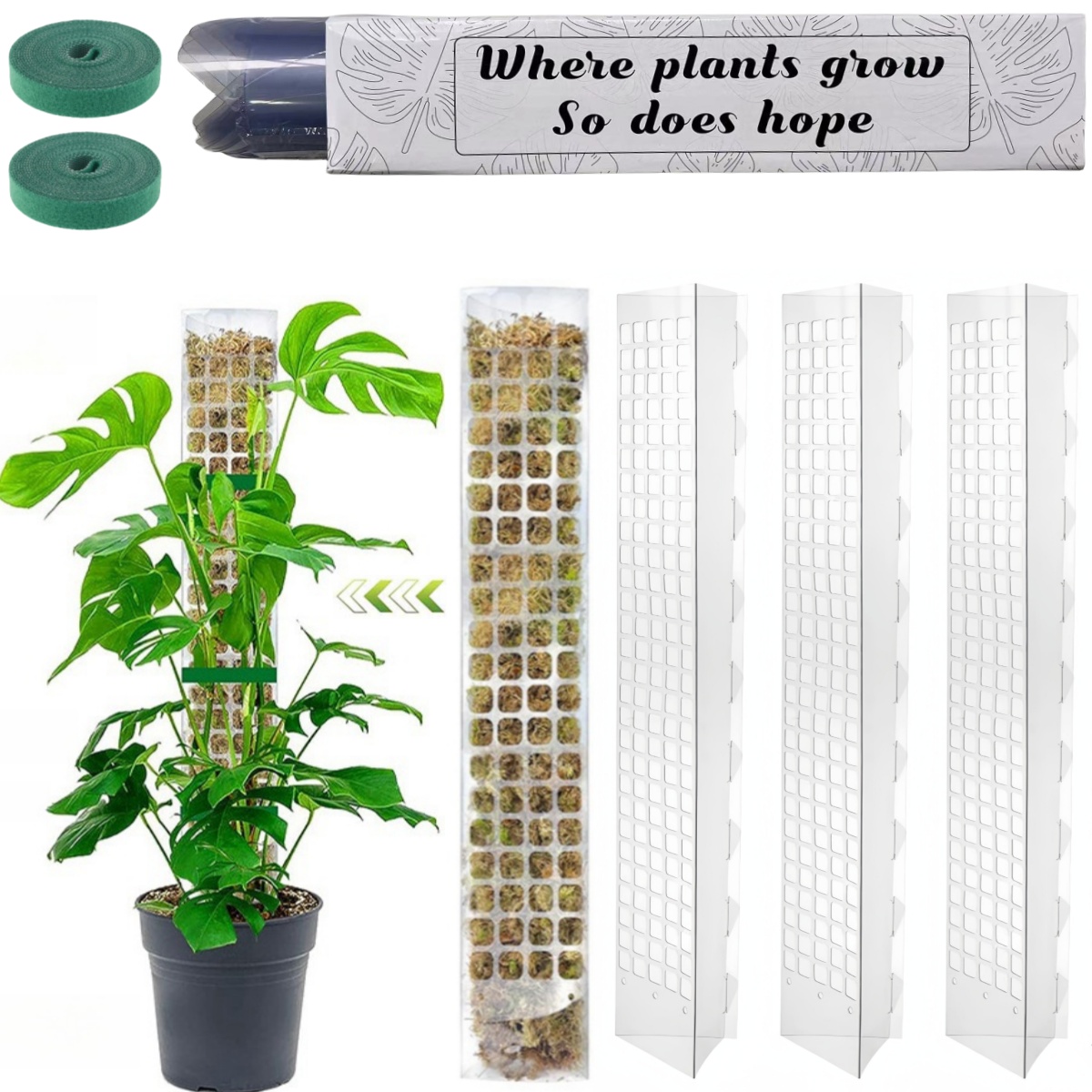 Moss Pole Plastic Plant Stand  - Bonsai Garden Ideas avis et prix