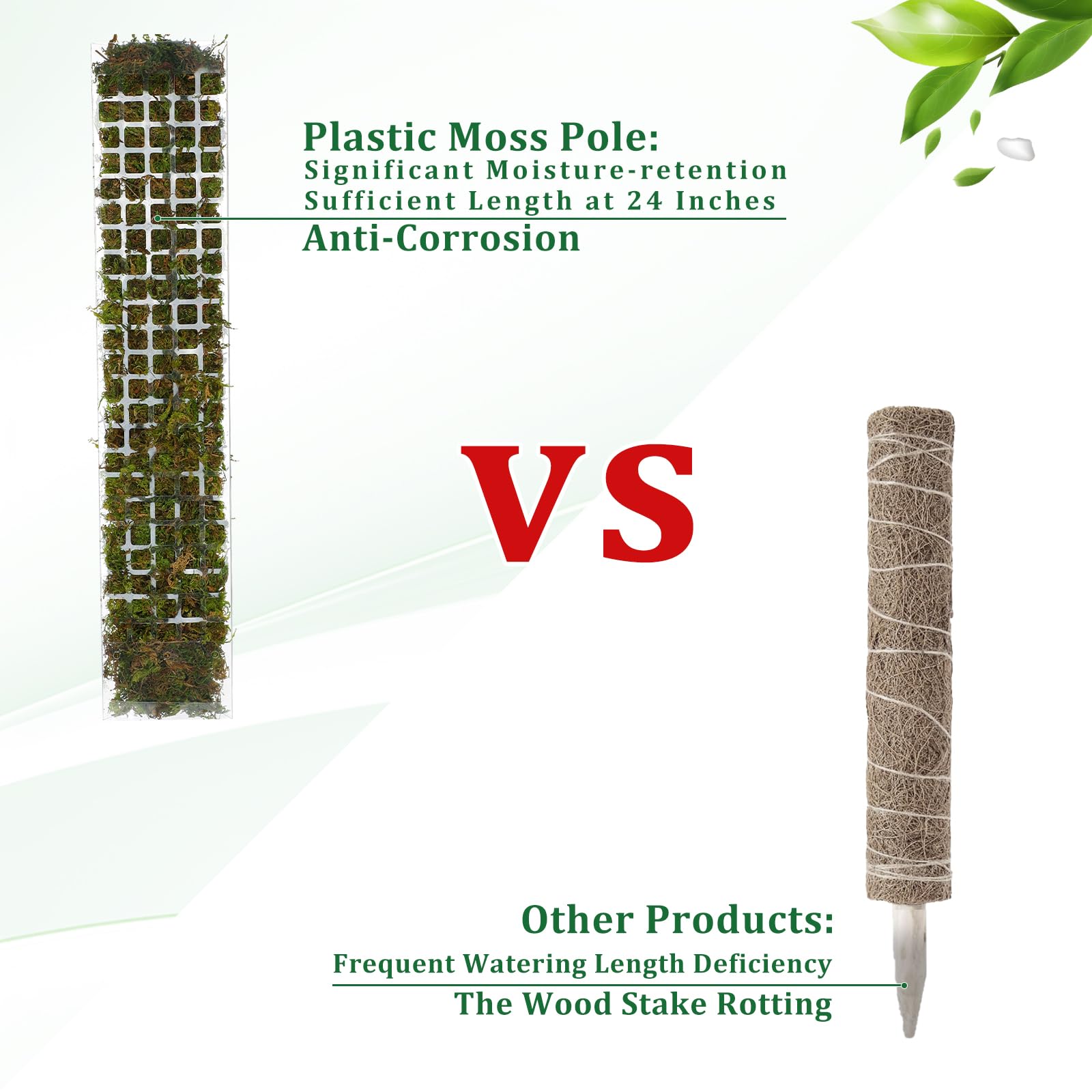 Moss Pole Plastic Plant Stand  - Bonsai Garden Ideas avis et prix