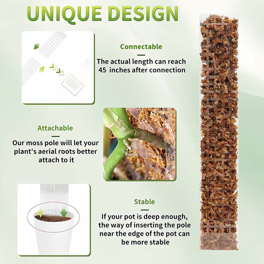 Moss Pole Plastic Plant Stand  - Bonsai Garden Ideas avis et prix