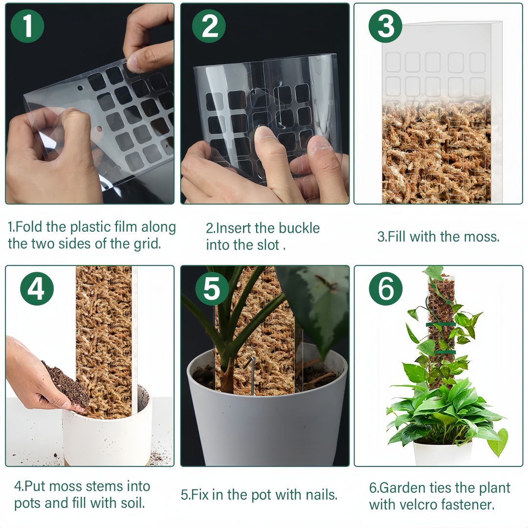 Moss Pole Plastic Plant Stand  - Bonsai Garden Ideas avis et prix