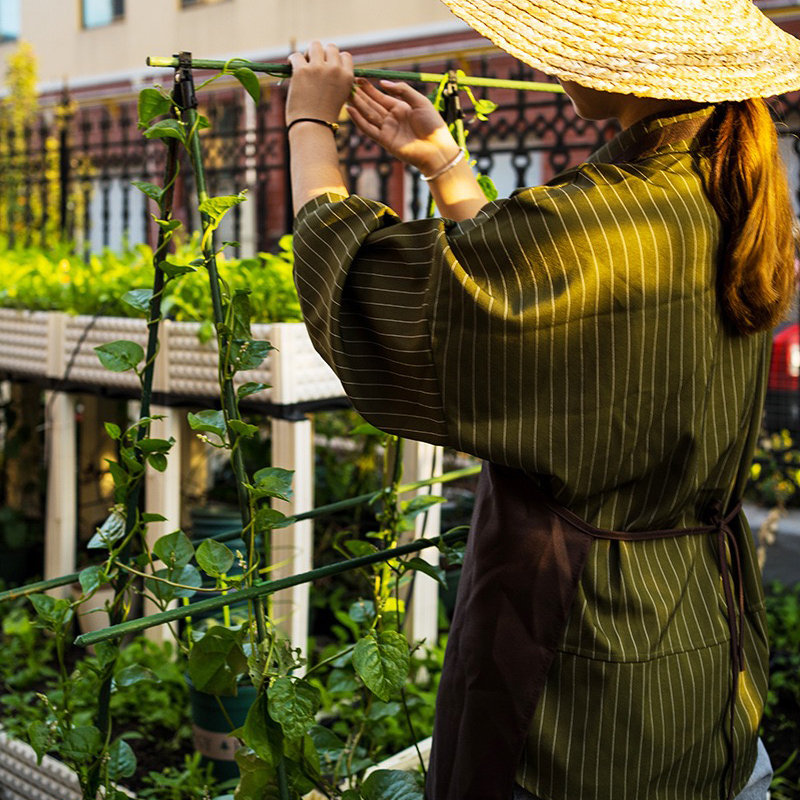 Plant Stakes Gardening Pillar  - Bonsai Garden Ideas avis et prix