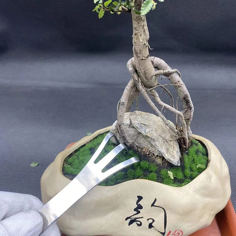 1Pc Stainless Steel Root Rake  - Bonsai Garden Tree avis et prix