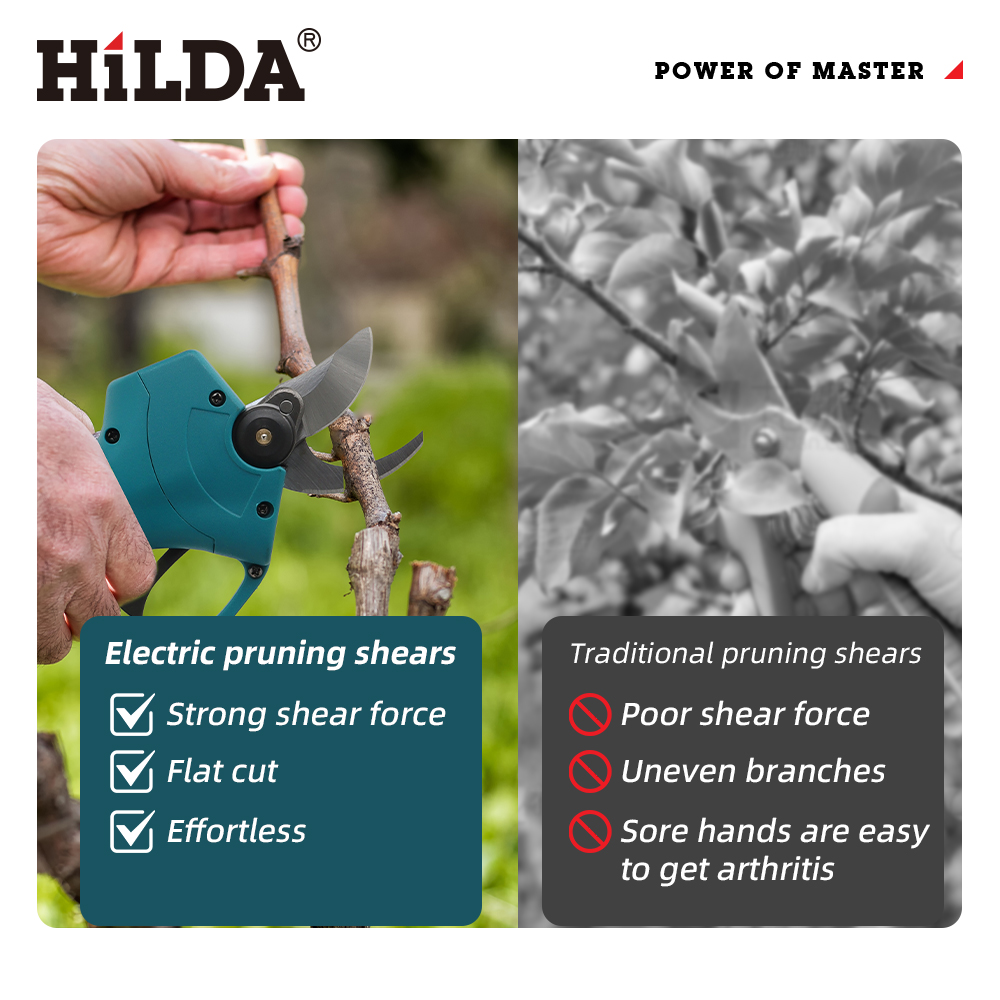 HILDA 18V Brushless Cordless E - Bonsai Garden Tree avis et prix