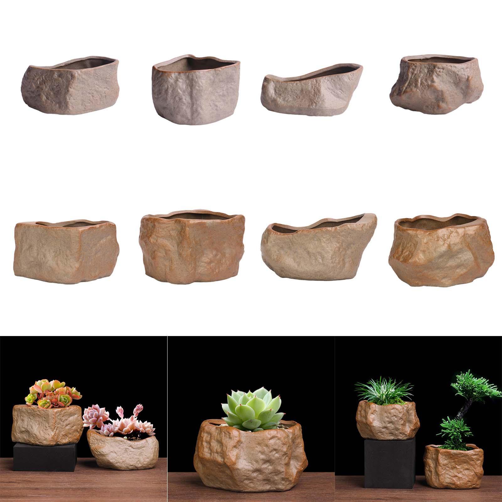 Ceramic Succulent Pot Stone Sh - Training Pot Ceramic avis et prix