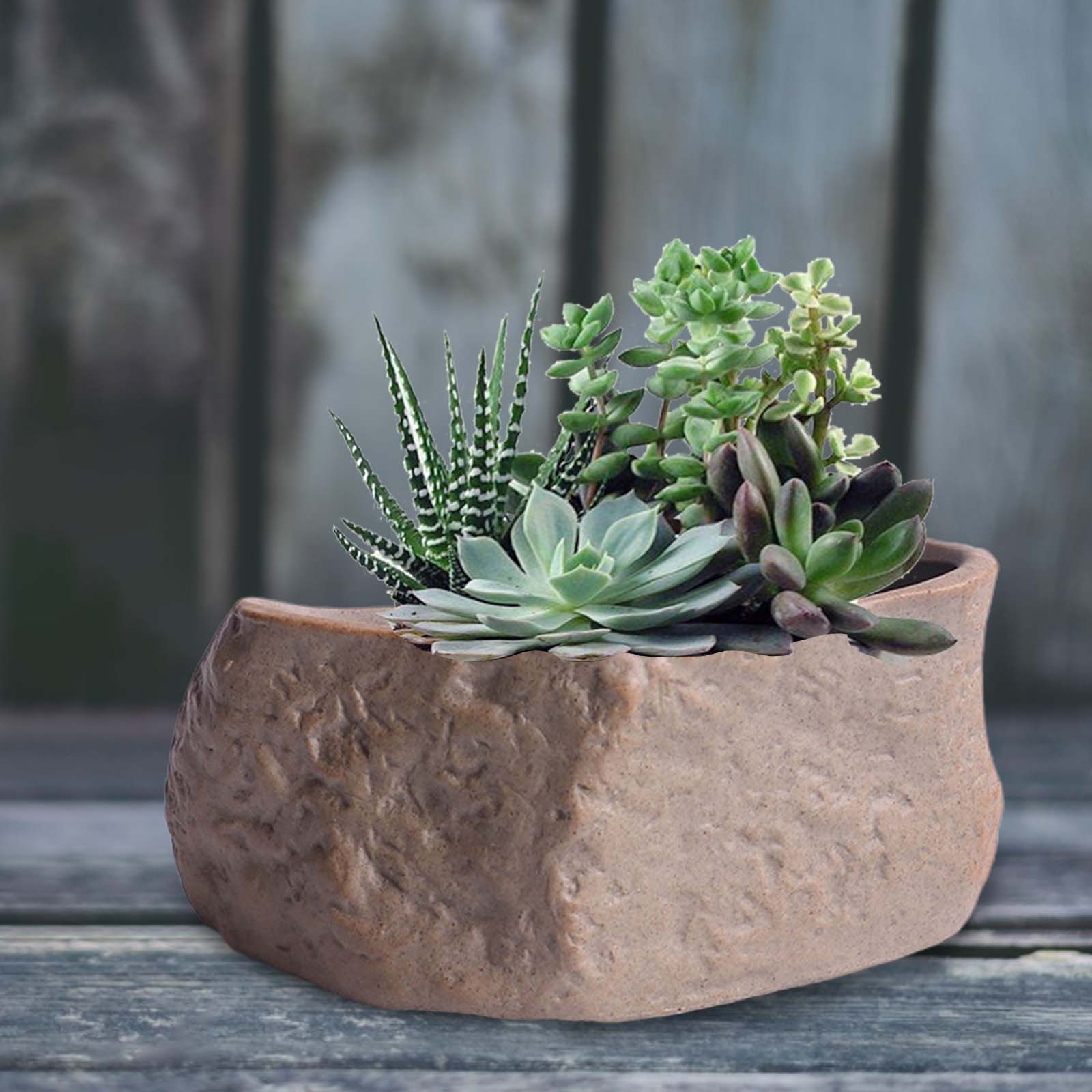 Ceramic Succulent Pot Stone Sh - Training Pot Ceramic avis et prix