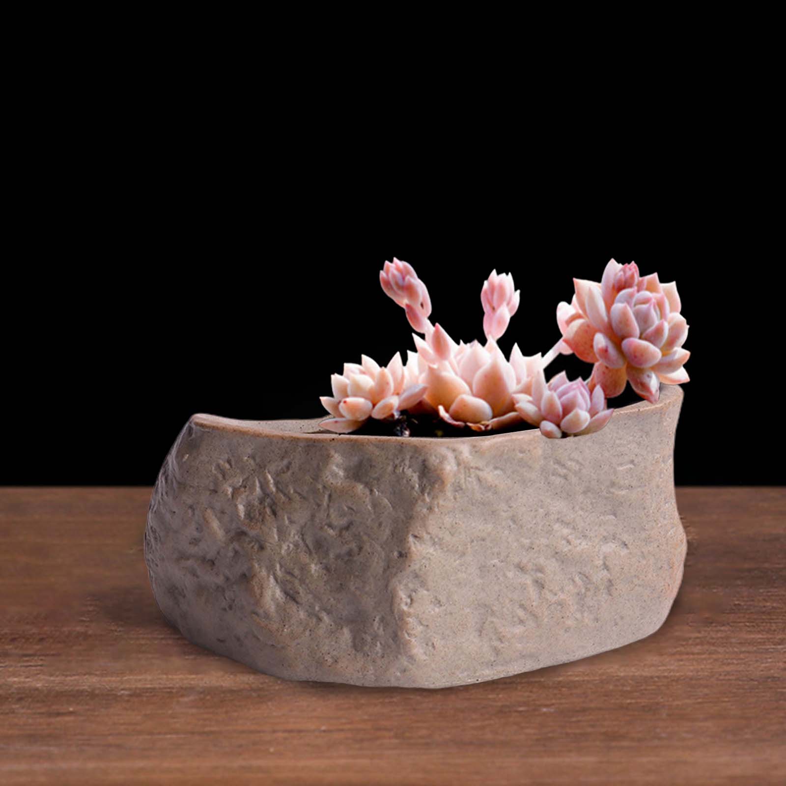 Ceramic Succulent Pot Stone Sh - Training Pot Ceramic avis et prix