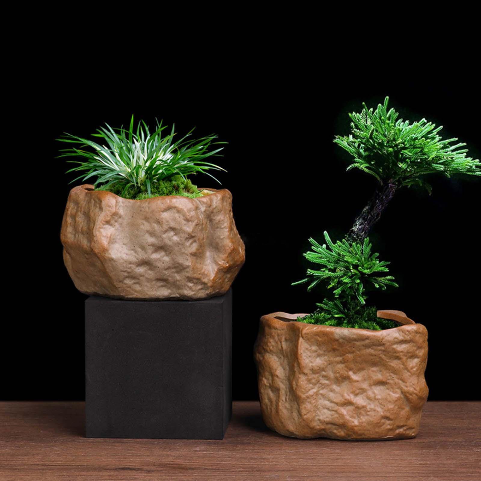 Ceramic Succulent Pot Stone Sh - Training Pot Ceramic avis et prix