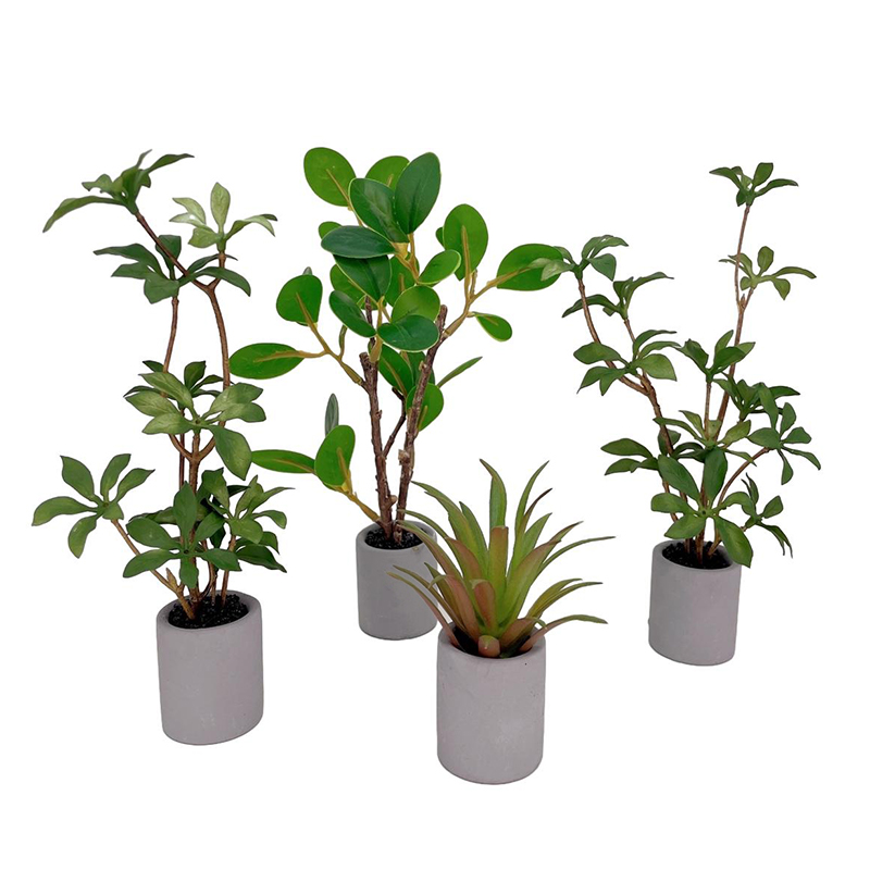 1:6 Dollhouse Miniature Potted - Bonsai Garden Ideas avis et prix