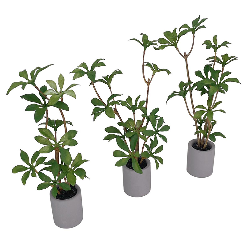 1:6 Dollhouse Miniature Potted - Bonsai Garden Ideas avis et prix