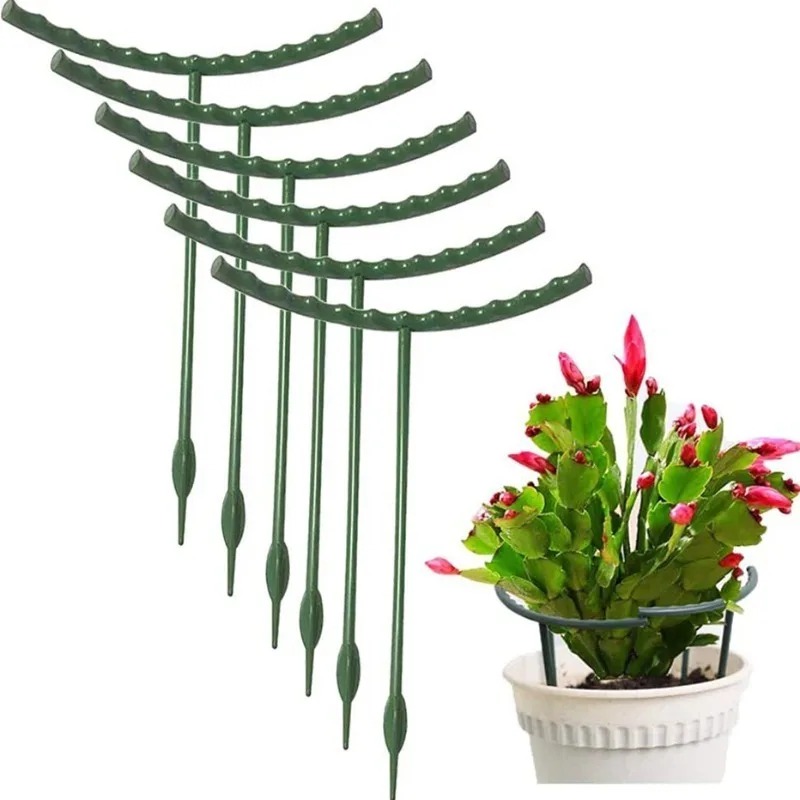 Plastic Plant Support Ring Orc - Bonsai Garden Ideas avis et prix