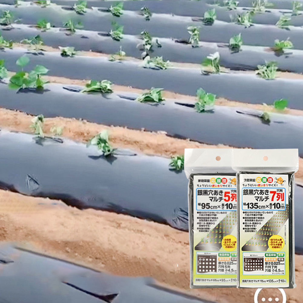 Ground Cover Plants Film Perfo - Bonsai Garden Ideas avis et prix