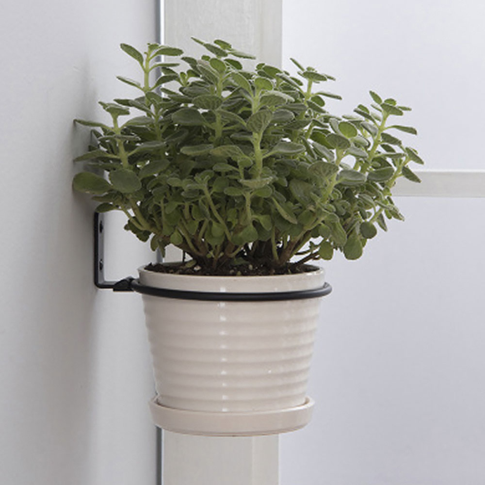 Flower Pot Trays Wall Mounted  - Bonsai Garden Ideas avis et prix