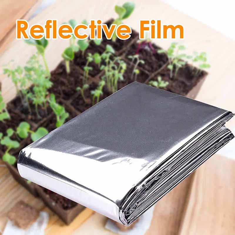 1-10 PCS Garden Silver Mylar F - Bonsai Garden Ideas avis et prix