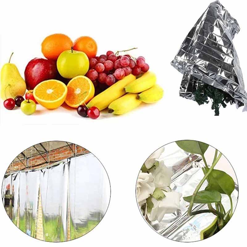 1-10 PCS Garden Silver Mylar F - Bonsai Garden Ideas avis et prix