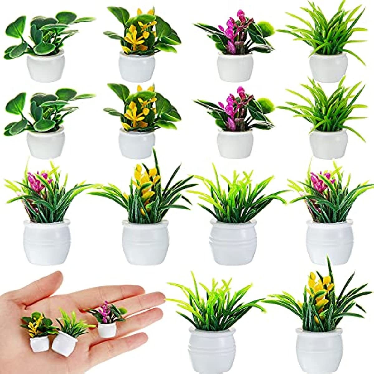 Dollhouse Plant, Miniature Bon - Bonsai Garden Ideas avis et prix