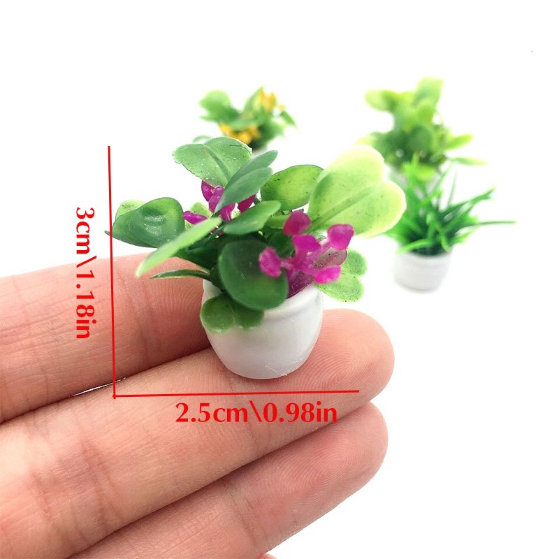 Dollhouse Plant, Miniature Bon - Bonsai Garden Ideas avis et prix