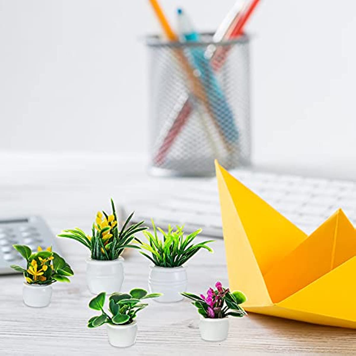 Dollhouse Plant, Miniature Bon - Bonsai Garden Ideas avis et prix