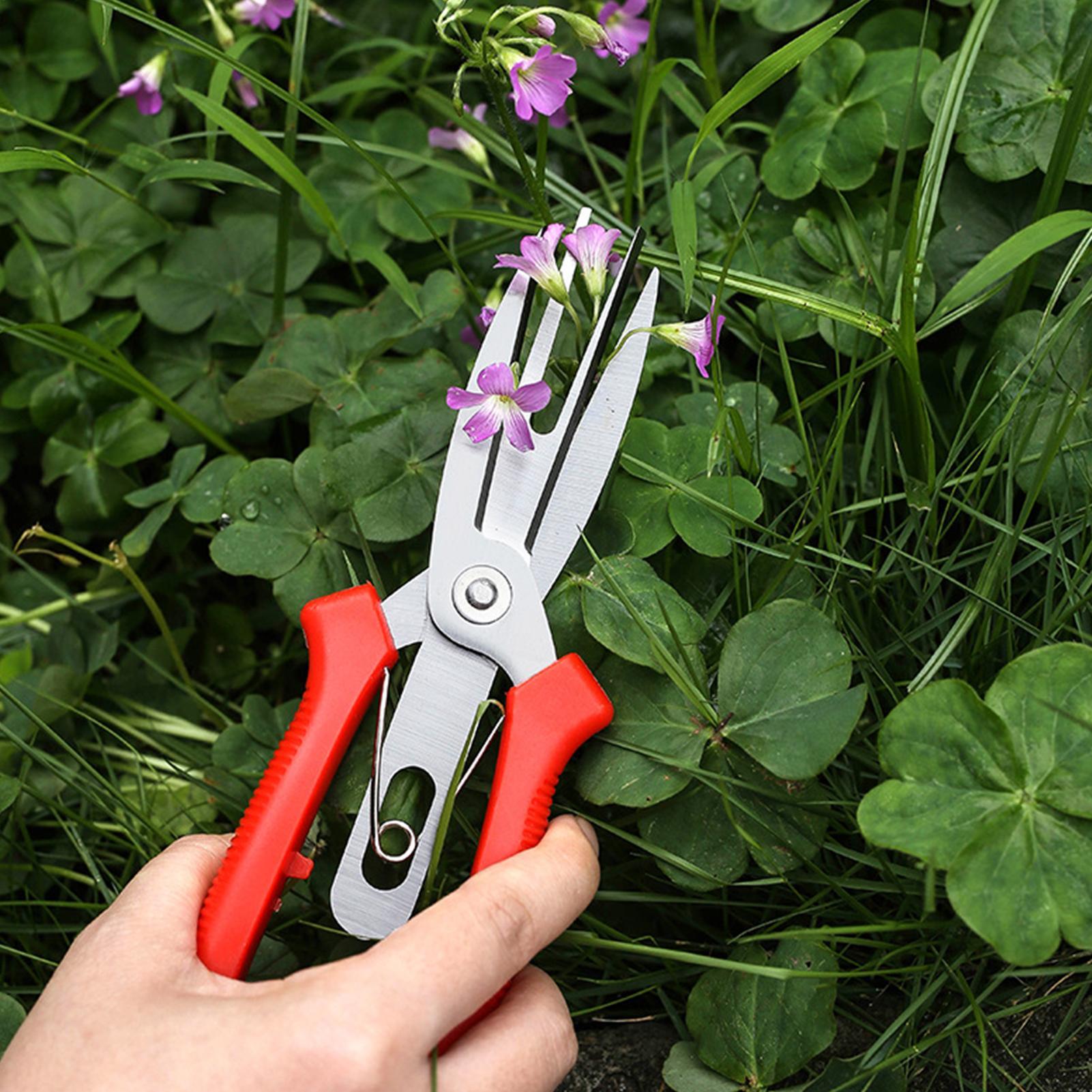 Garden Shears Stainless Steel  - Bonsai Garden Tree avis et prix