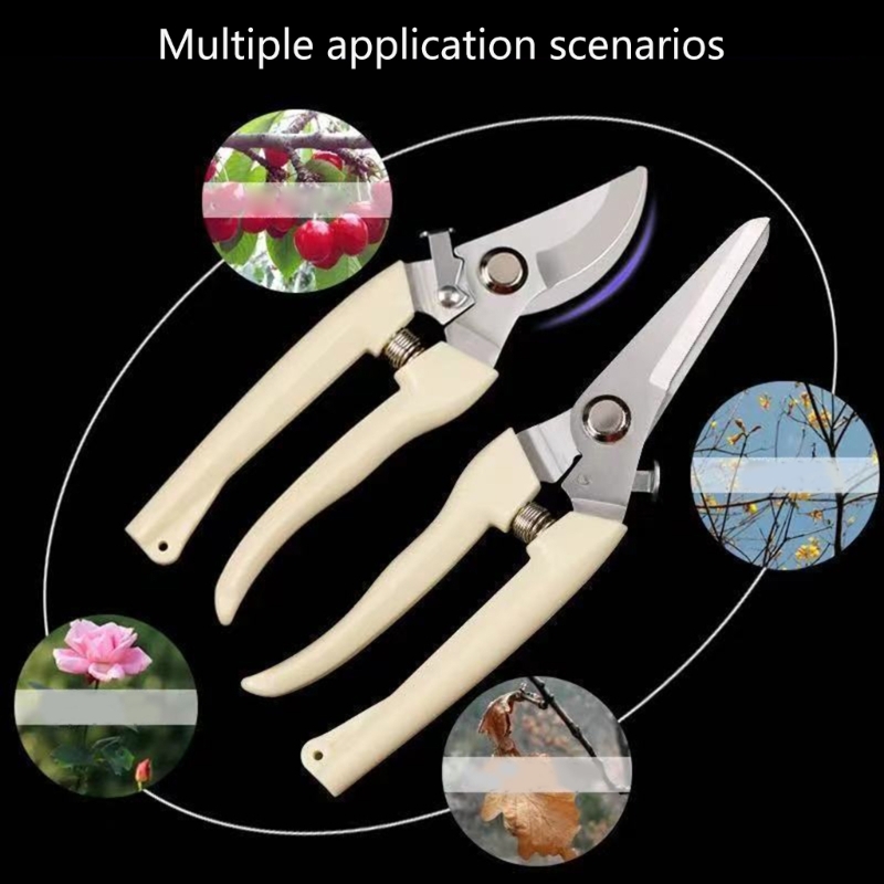 Fruit Bonsai Picking Scissors  - Bonsai Garden Hours avis et prix