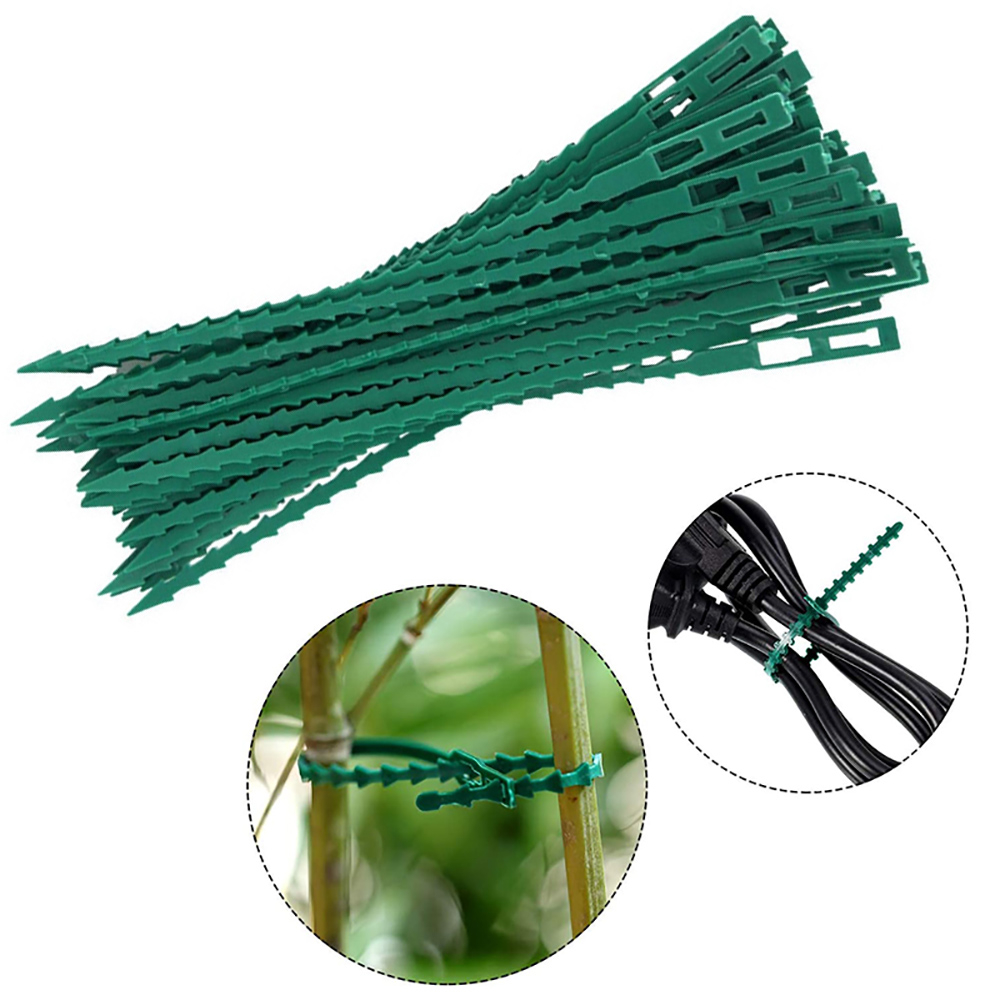 50pcs Adjustable Plastic Plant - Bonsai Garden Ideas avis et prix