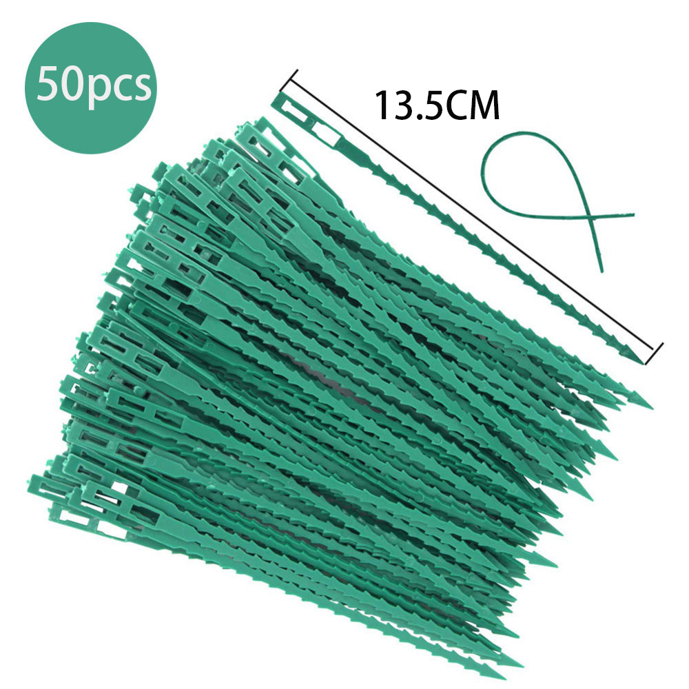 50pcs Adjustable Plastic Plant - Bonsai Garden Ideas avis et prix