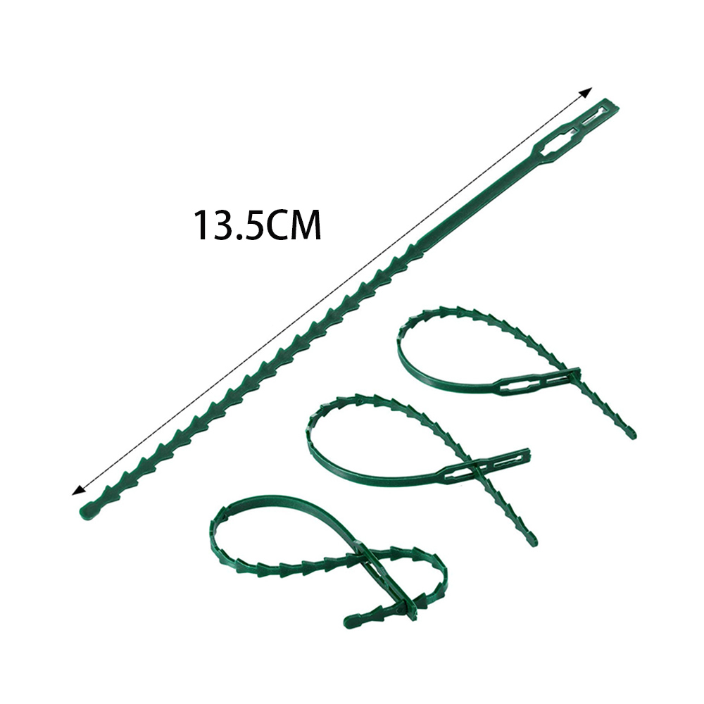 50pcs Adjustable Plastic Plant - Bonsai Garden Ideas avis et prix