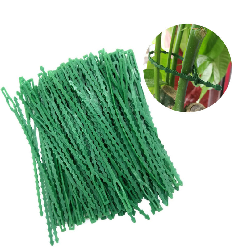 10-100pc Adjustable Plant Ties - Bonsai Garden Ideas avis et prix