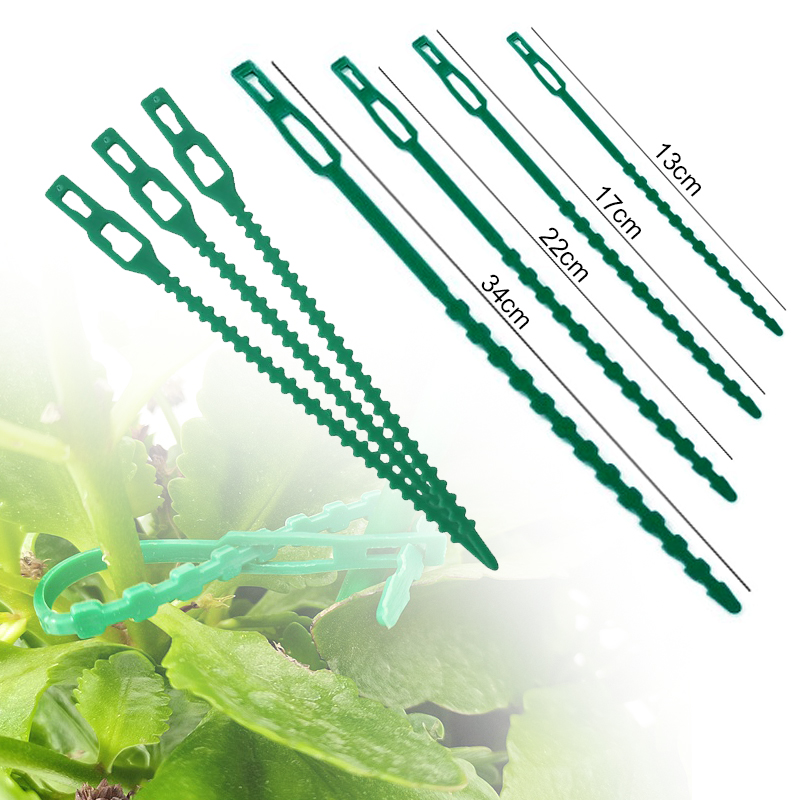 10-100pc Adjustable Plant Ties - Bonsai Garden Ideas avis et prix